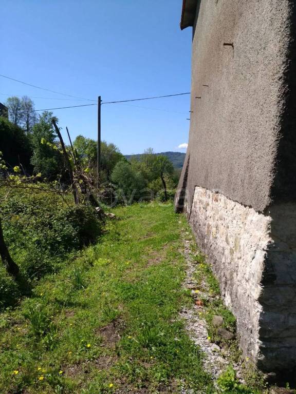 immagine annuncio 5 di 14