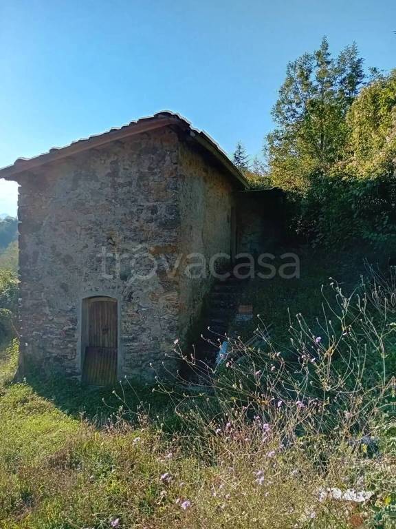 immagine annuncio 2 di 8