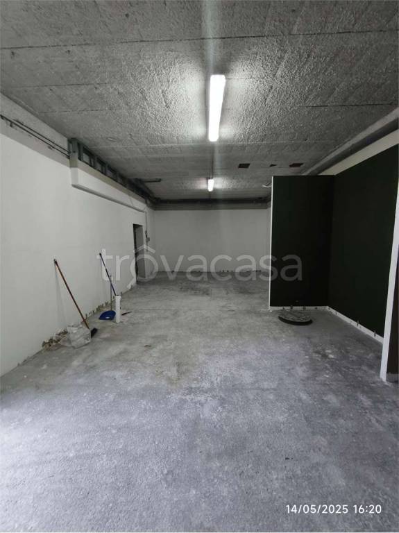 immagine annuncio 9 di 12