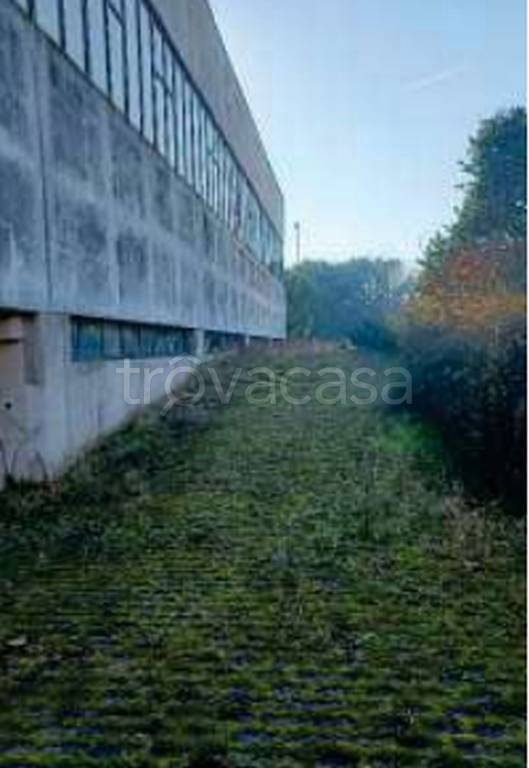immagine annuncio 2 di 13