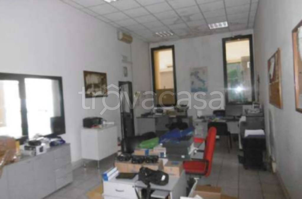 immagine annuncio 9 di 11