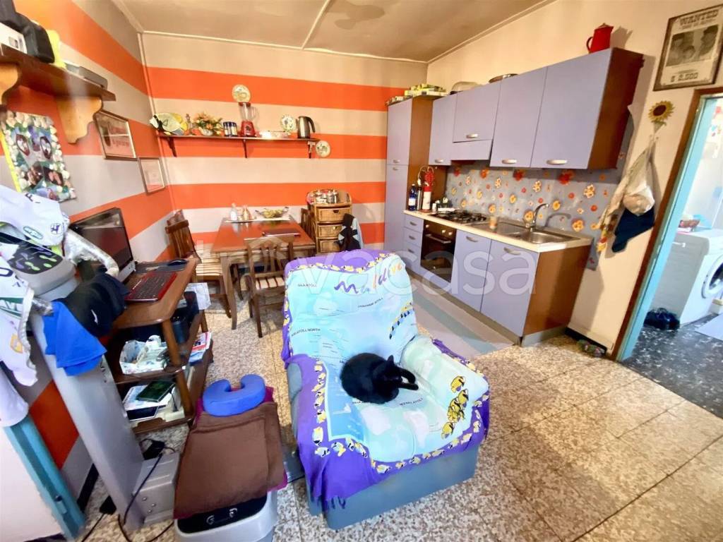 immagine annuncio 4 di 7