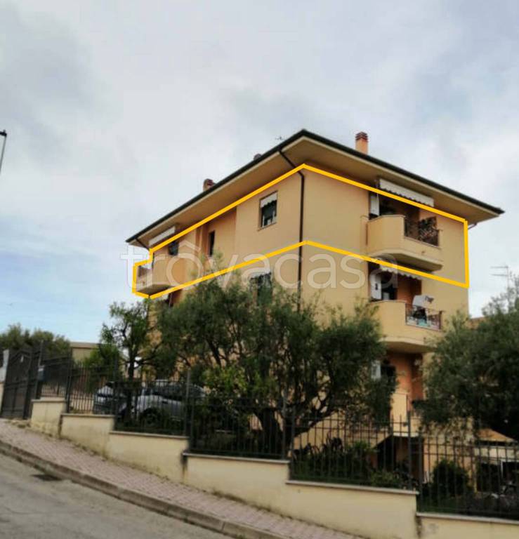 immagine annuncio 3 di 12
