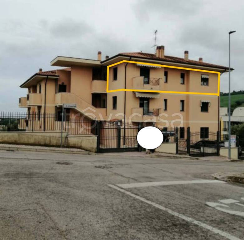 immagine annuncio 1 di 12