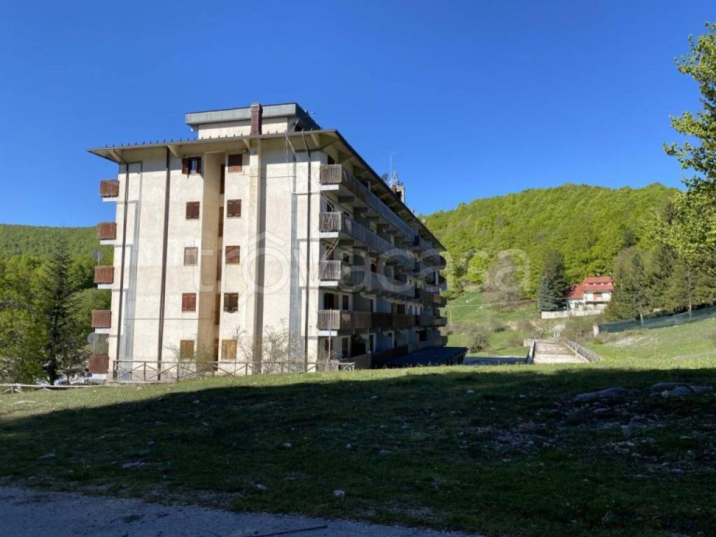 immagine annuncio 1 di 4