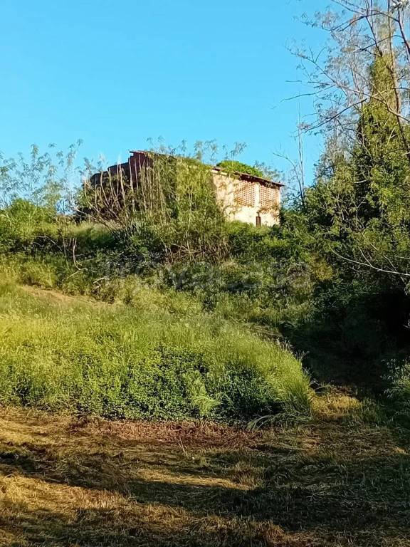immagine annuncio 4 di 8