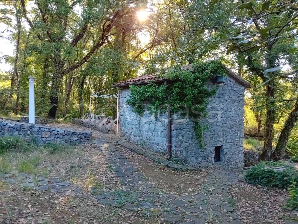 immagine annuncio 9 di 14