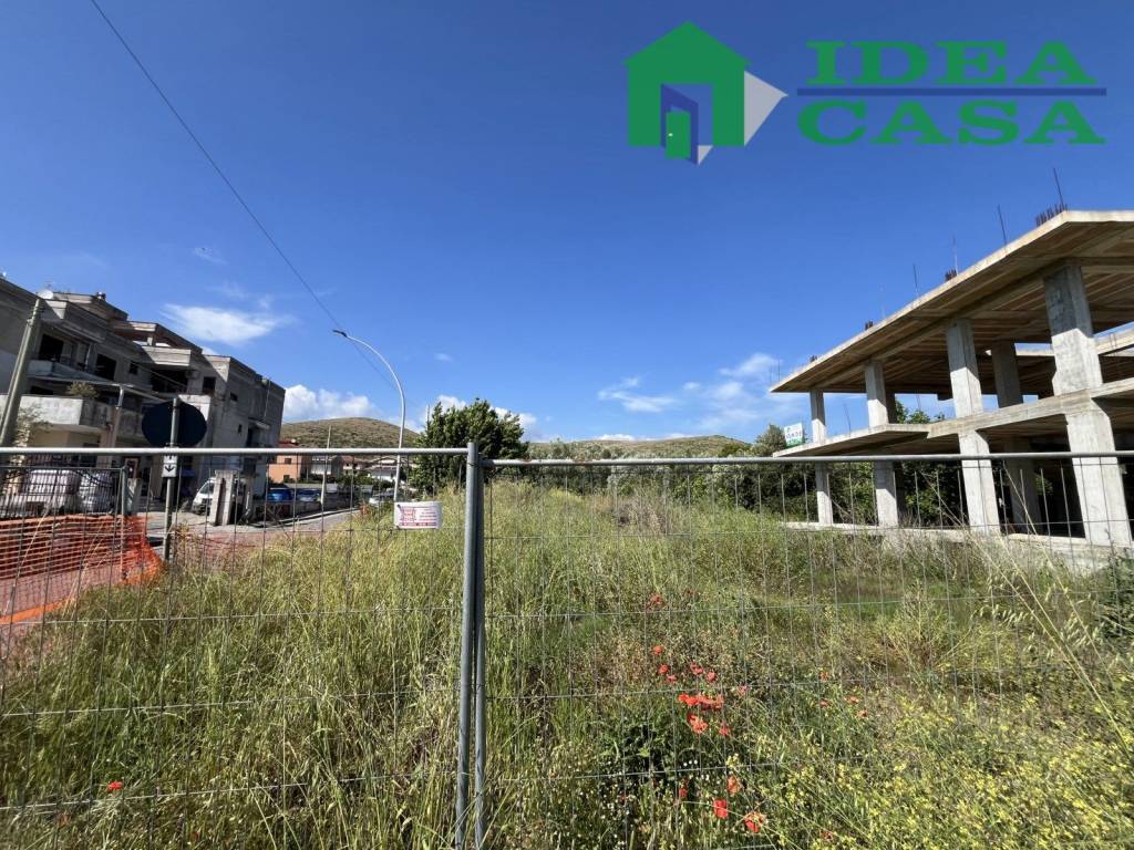 immagine annuncio 5 di 6