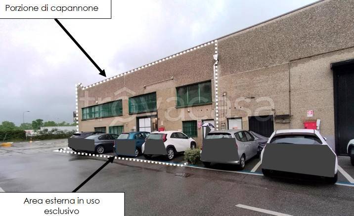 immagine annuncio 14 di 15