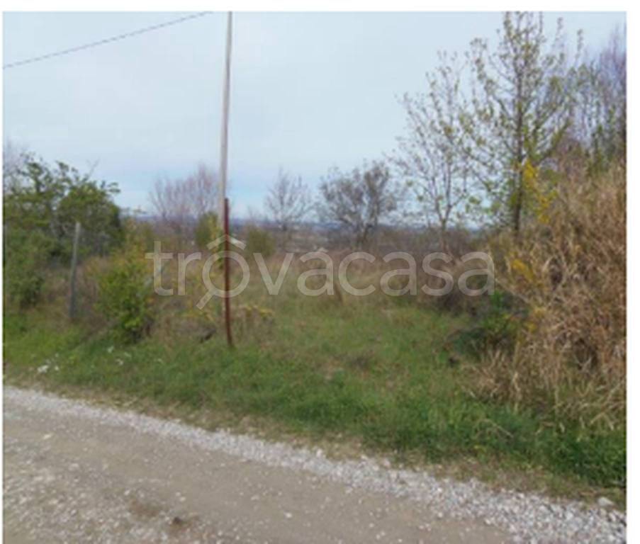 immagine annuncio 6 di 12