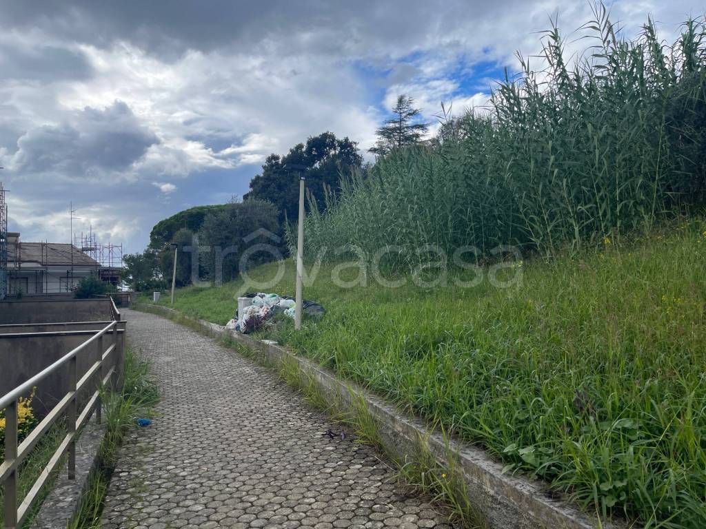 immagine annuncio 9 di 14