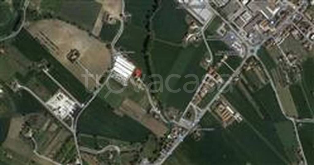 immagine annuncio 9 di 11