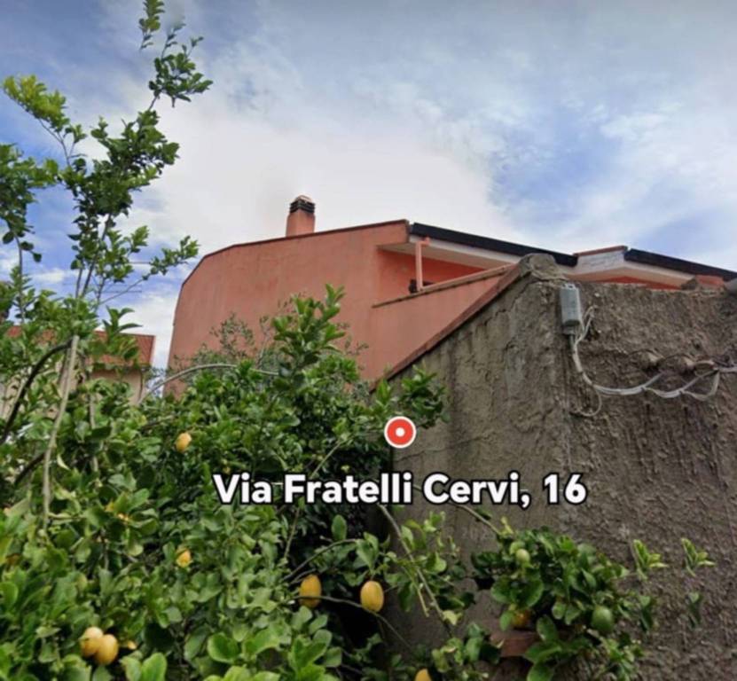 immagine annuncio 3 di 14