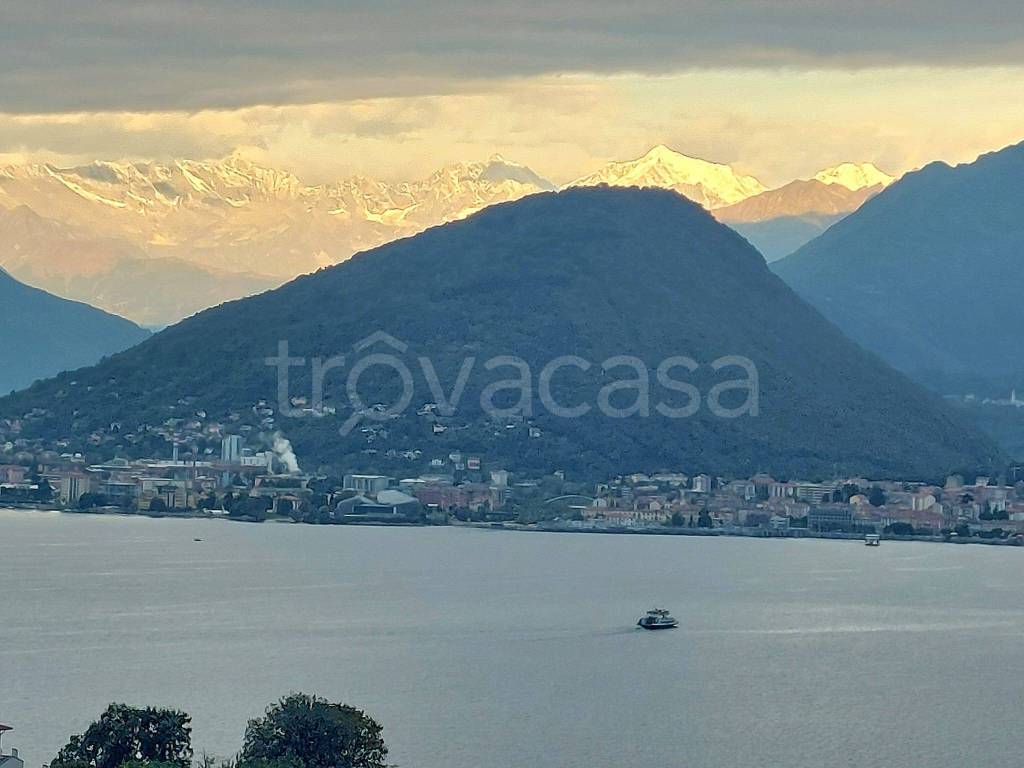 immagine annuncio 4 di 6