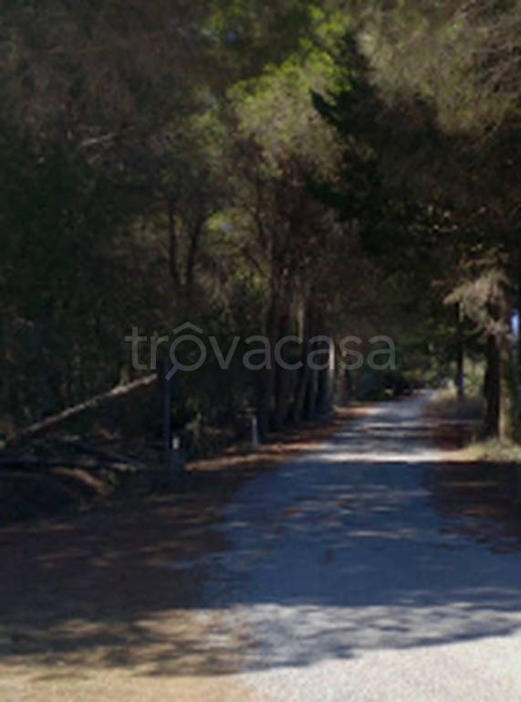 immagine annuncio 8 di 11