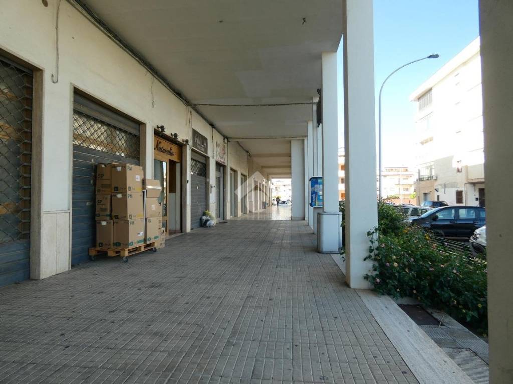 immagine annuncio 3 di 14