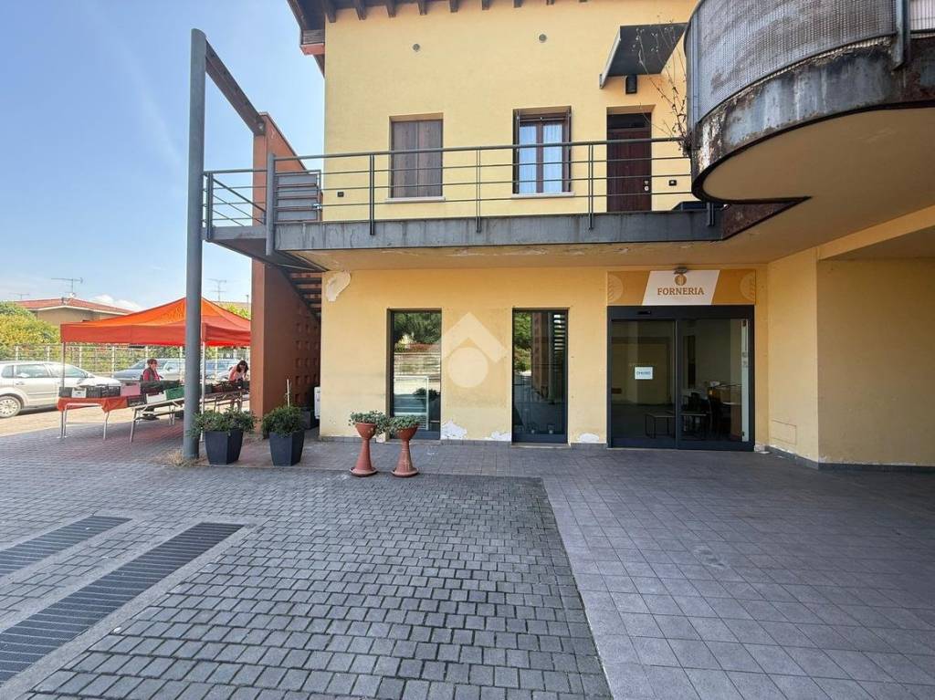 immagine annuncio 2 di 15