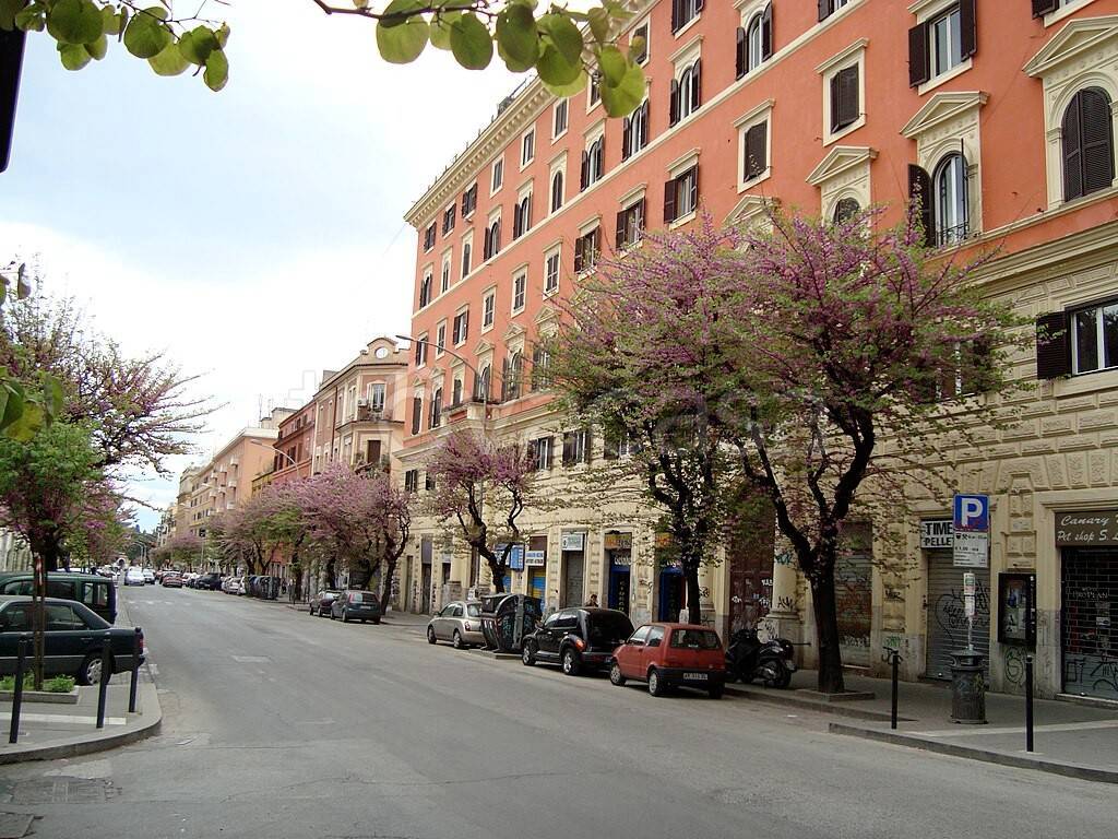 immagine annuncio 1 di 4