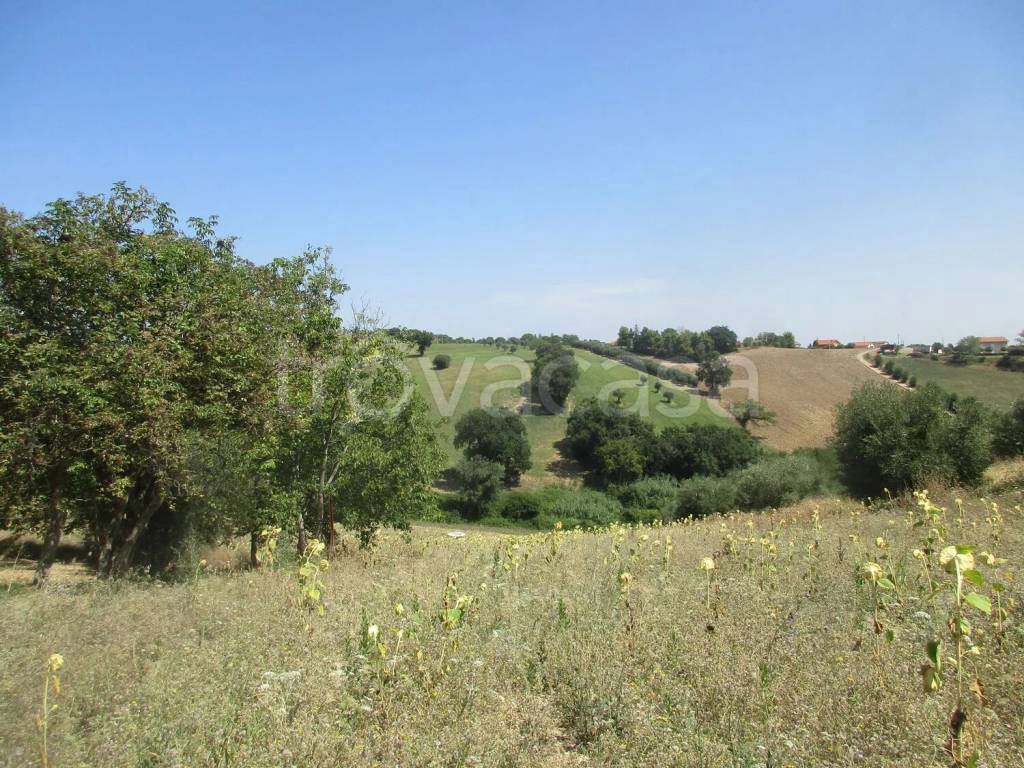 immagine annuncio 11 di 12