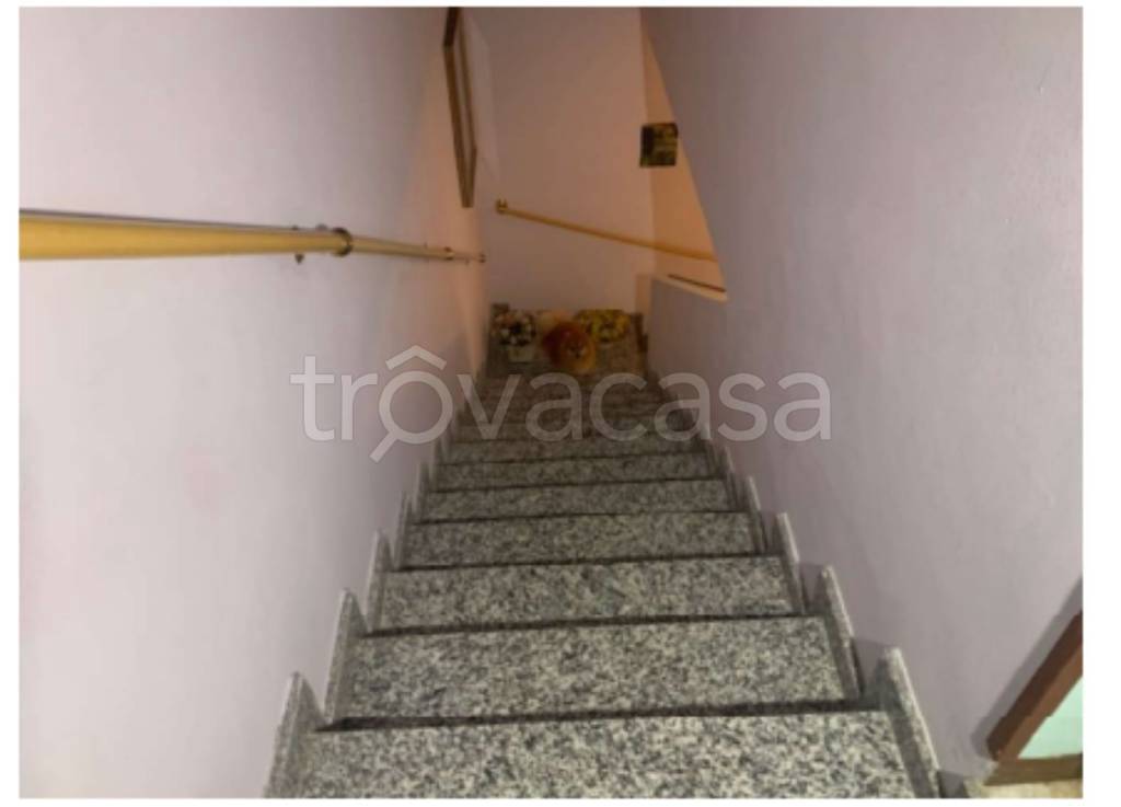 immagine annuncio 5 di 11