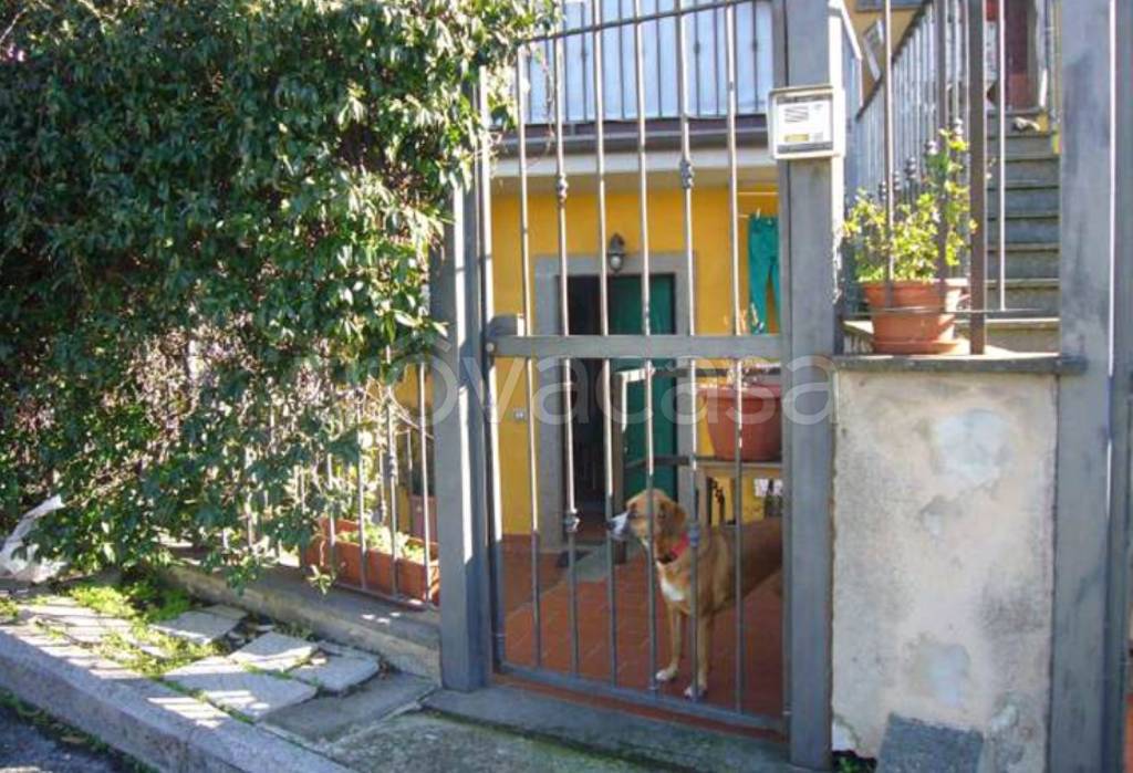 immagine annuncio 7 di 13