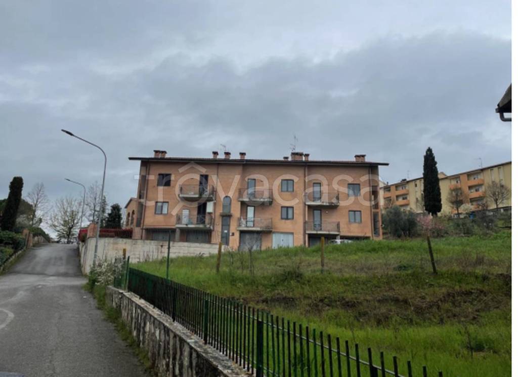 immagine annuncio 5 di 11