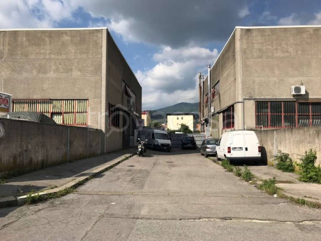 immagine annuncio 2 di 14