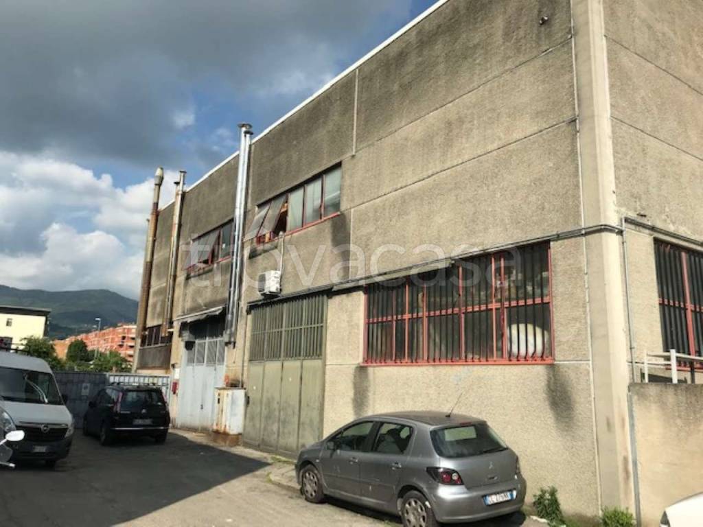 immagine annuncio 4 di 14