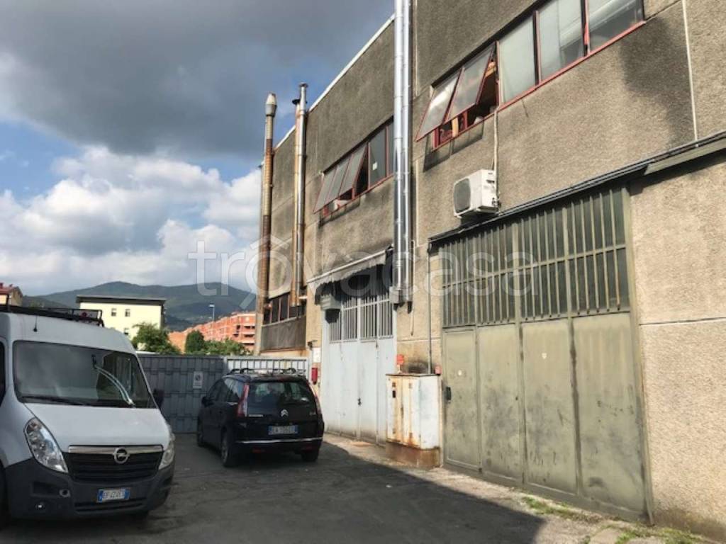 immagine annuncio 5 di 14