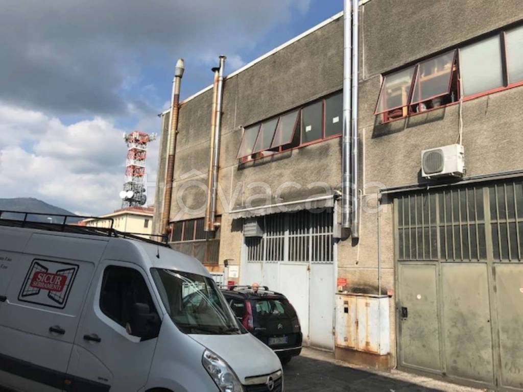 immagine annuncio 7 di 14