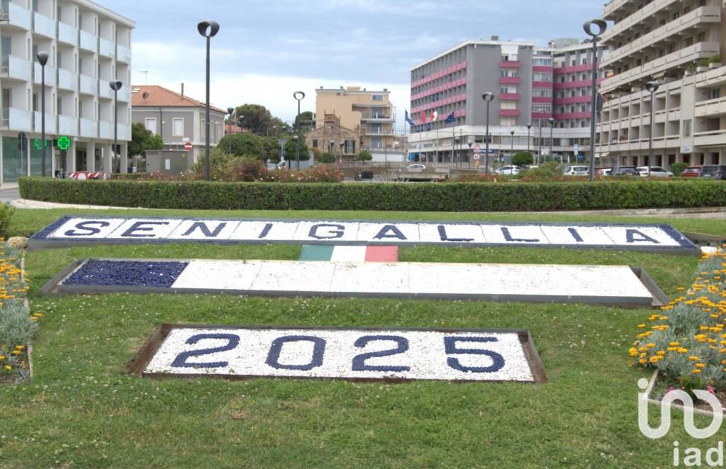 immagine annuncio 5 di 11