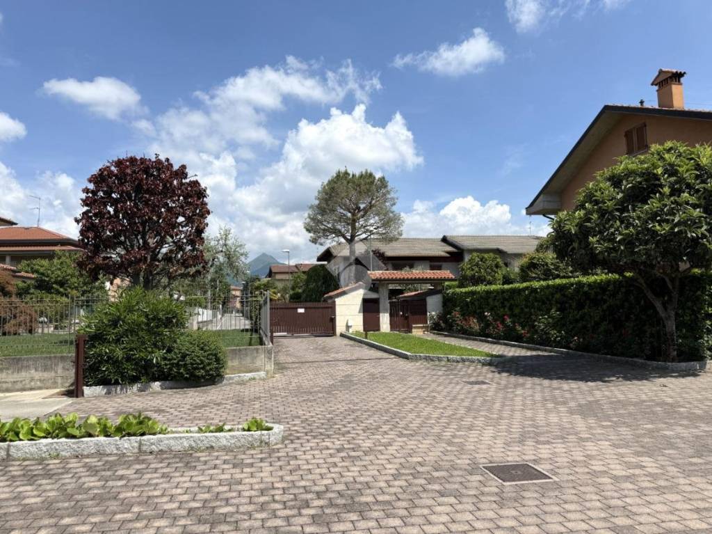 immagine annuncio 9 di 15