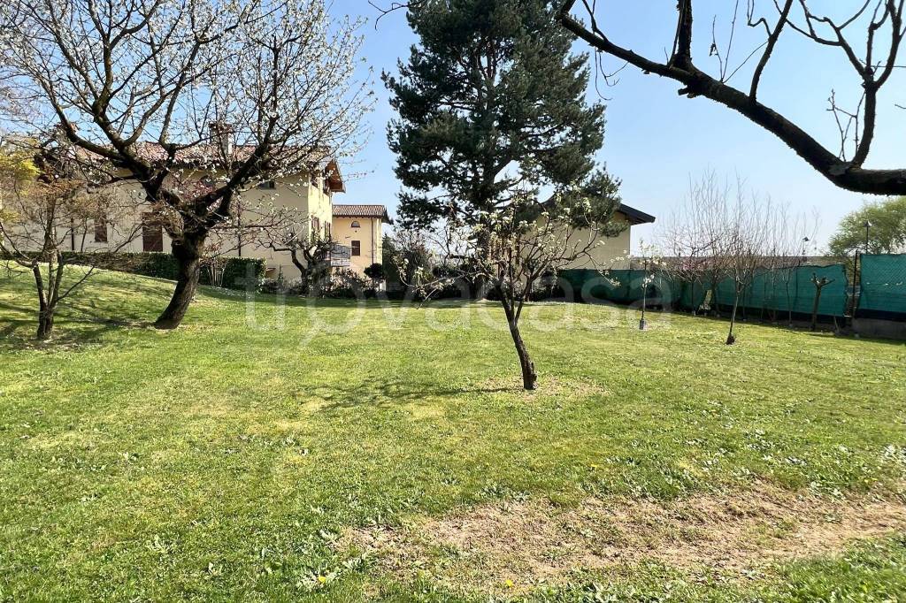 immagine annuncio 1 di 9