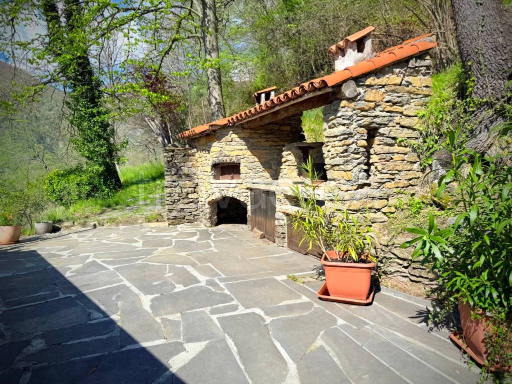immagine annuncio 3 di 14
