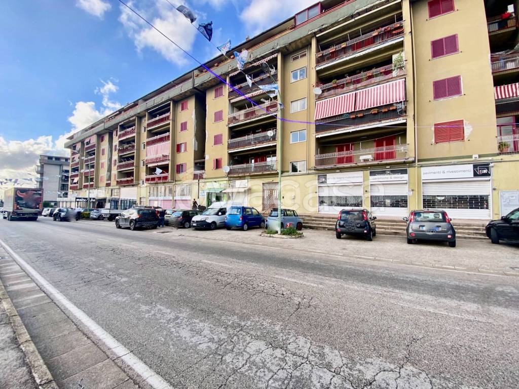 immagine annuncio 2 di 4