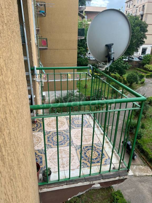 immagine annuncio 6 di 12