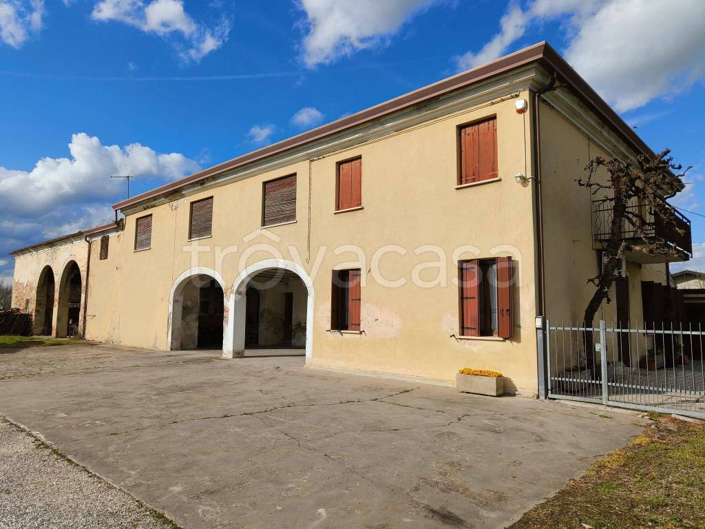 immagine annuncio 3 di 8