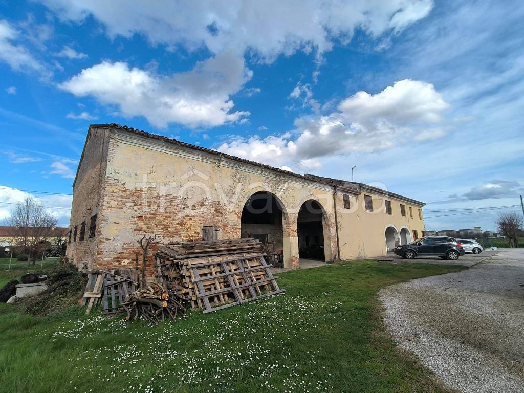 immagine annuncio 4 di 8