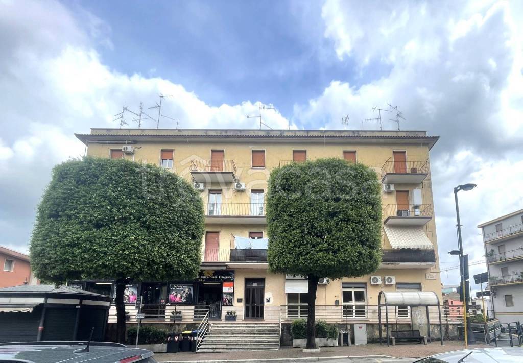 immagine annuncio 2 di 4