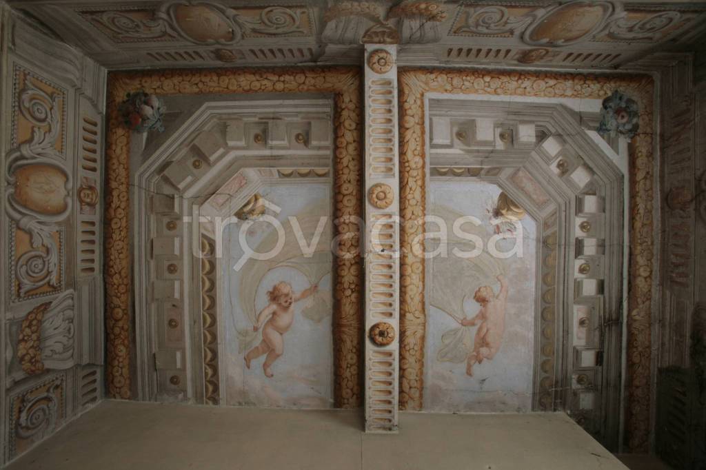 immagine annuncio 3 di 6