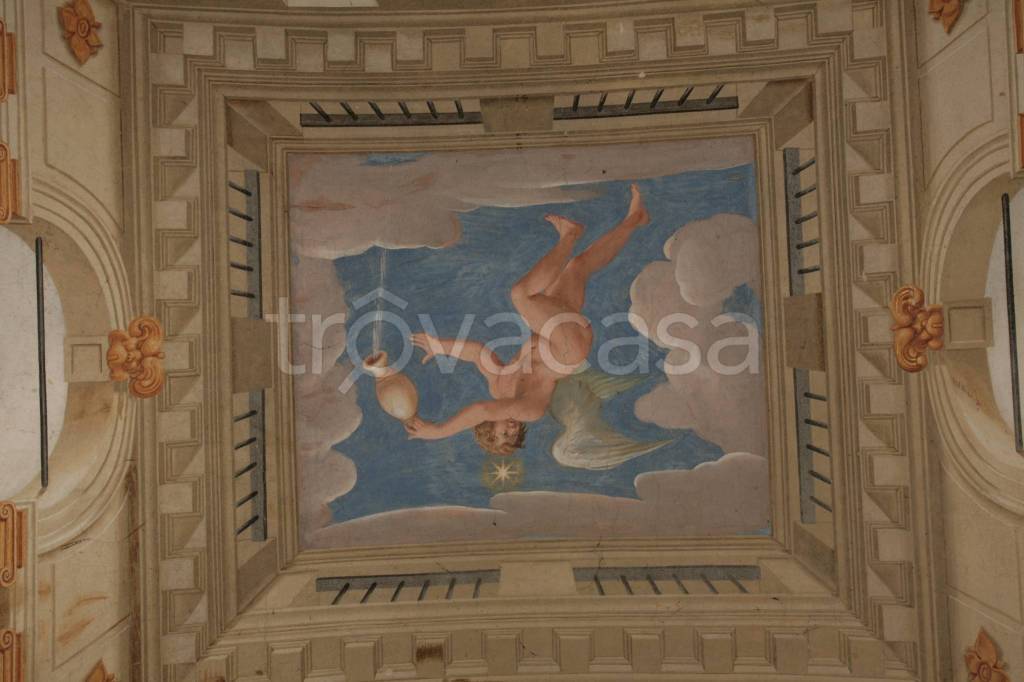 immagine annuncio 4 di 6