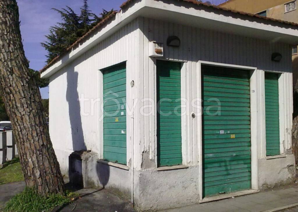 immagine annuncio 1 di 14
