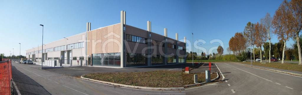 immagine annuncio 6 di 8