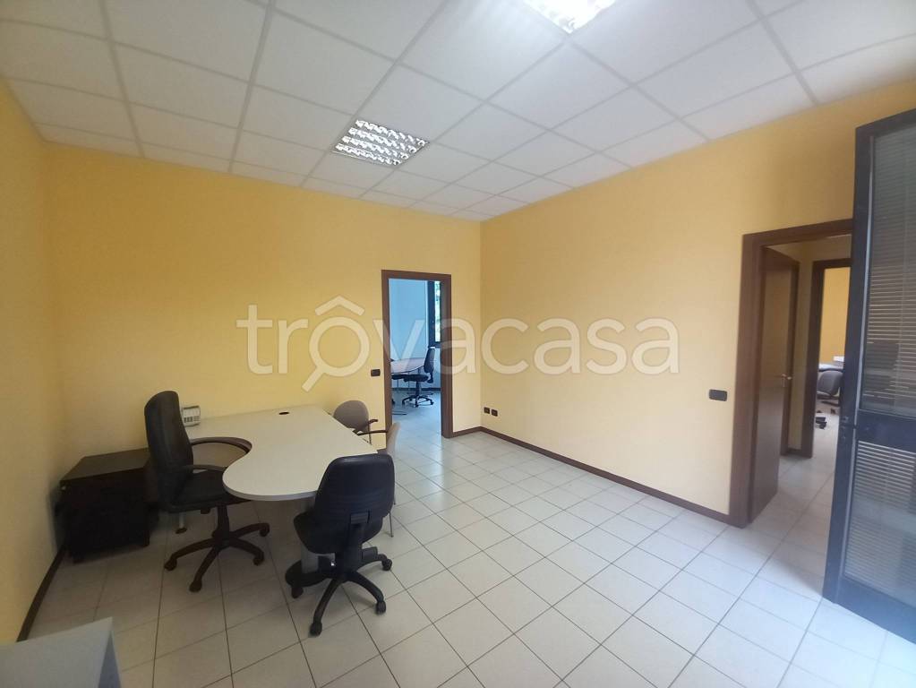immagine annuncio 2 di 12