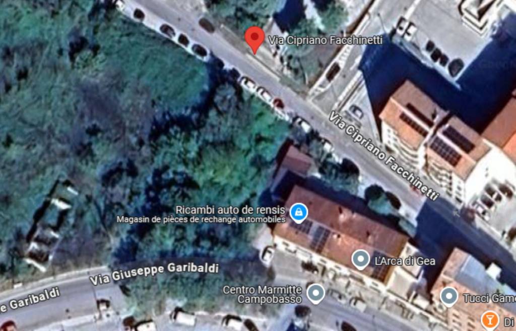 immagine annuncio 9 di 11