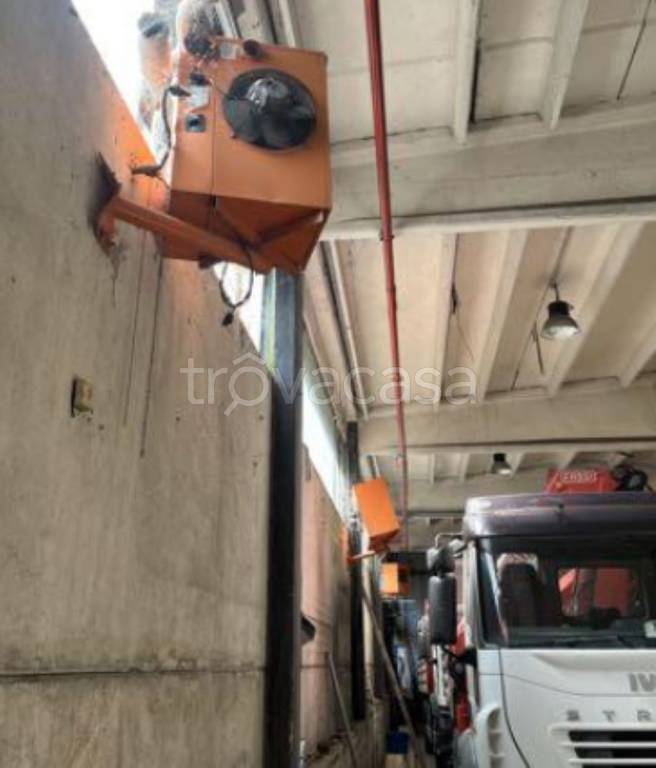 immagine annuncio 9 di 12