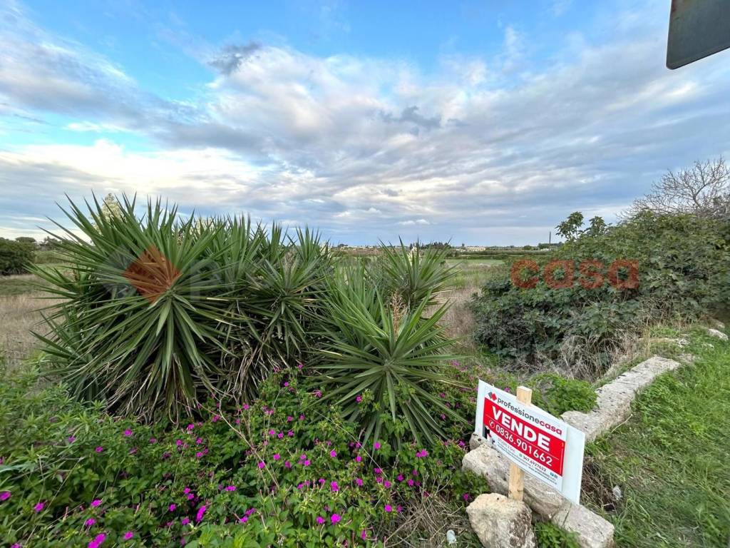 immagine annuncio 1 di 7