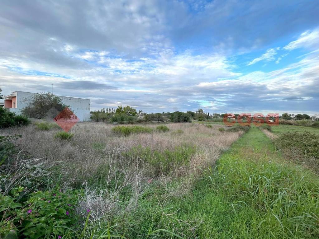 immagine annuncio 2 di 7