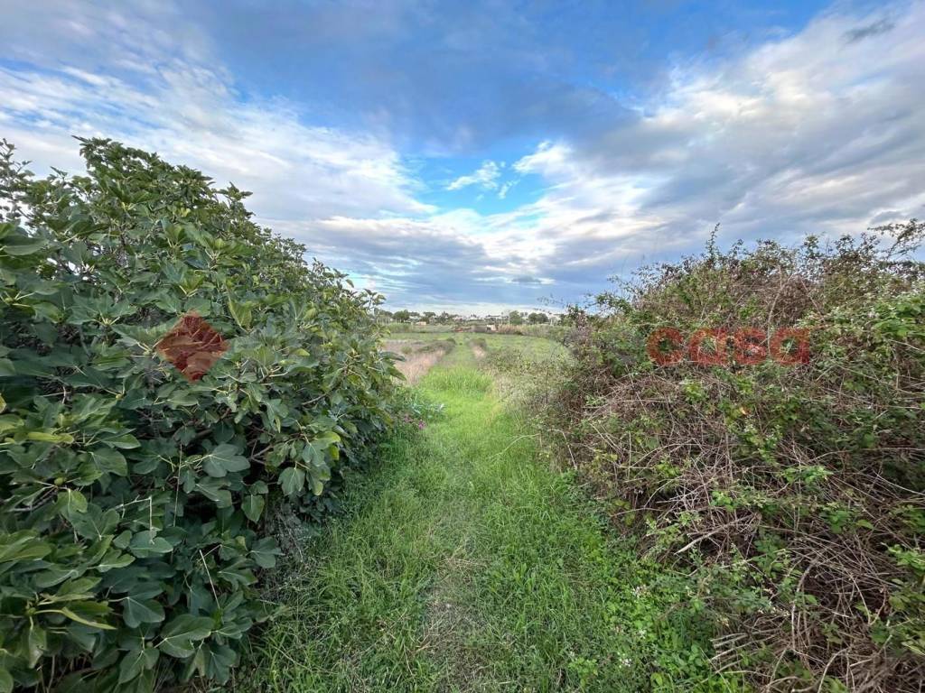 immagine annuncio 3 di 7