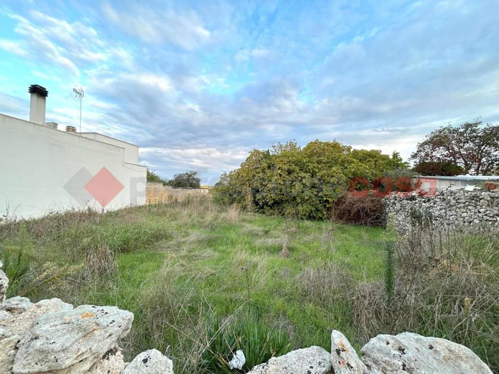 immagine annuncio 4 di 7